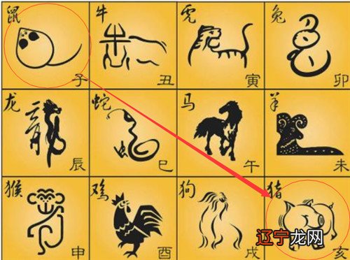 属相婚配表配对查询