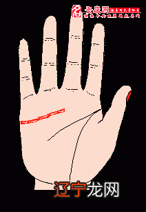 【李向东】感情线与爱情线有何不同?