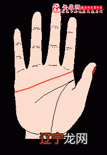 【李向东】感情线与爱情线有何不同?