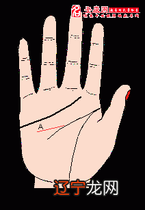 【李向东】感情线与爱情线有何不同?