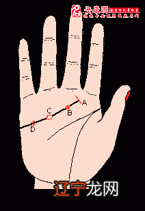 【李向东】感情线与爱情线有何不同?
