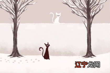 那麼庭院大门房屋朝向有哪些风水学层面的注重吗？