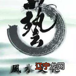 水木伤官格命理