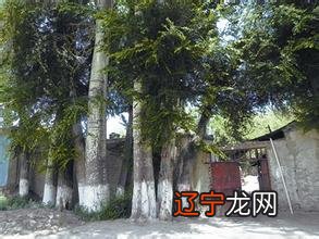 大门风水需要讲究的风水禁忌