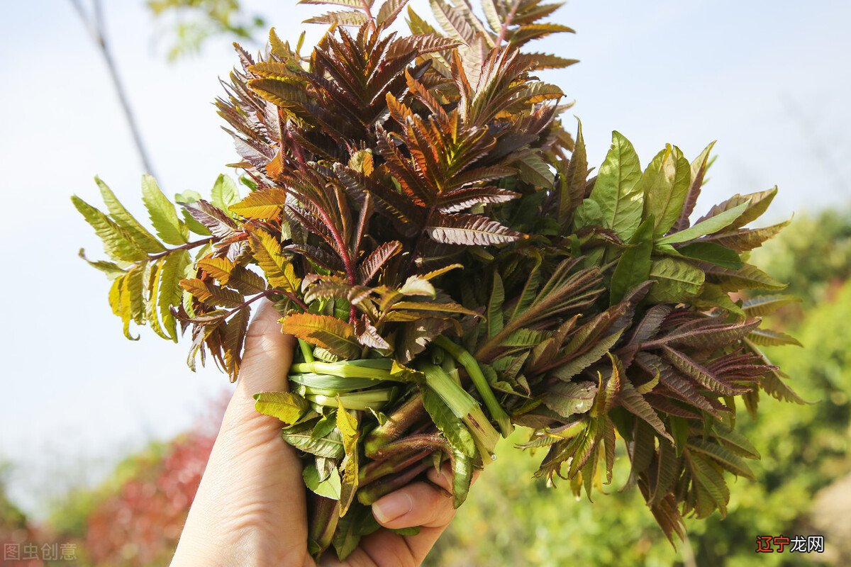 明日春分,老传统“4吃4不做”别丢,寓意吉祥安康事事顺利