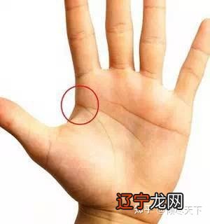 一看就懂的教学手相。