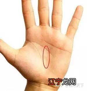 一看就懂的教学手相。