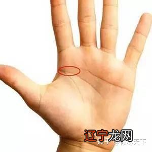 一看就懂的教学手相。