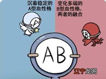 血型如何影响性格_血型性格_ab血型人的性格