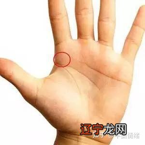 手把手教你看手相