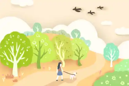 【李向东】道教最准风水的几十个流派，你知道吗？