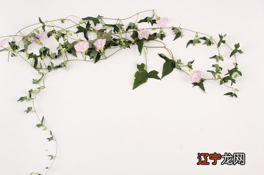 不同位置的泪痣有什么说法