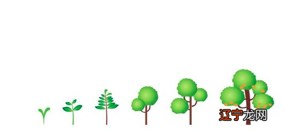 《周易》之道，始于画卦