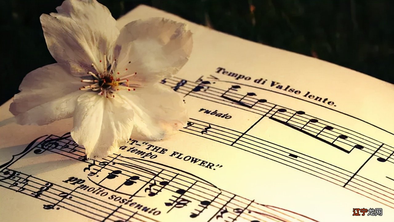 人这一生有两次改变命运的机会,都有哪些星座女是