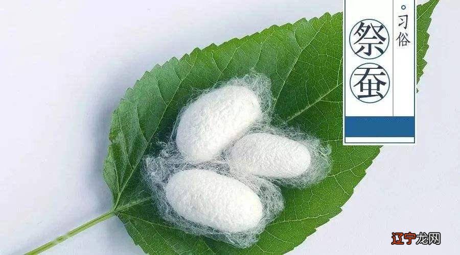 小满是什么节气及含义