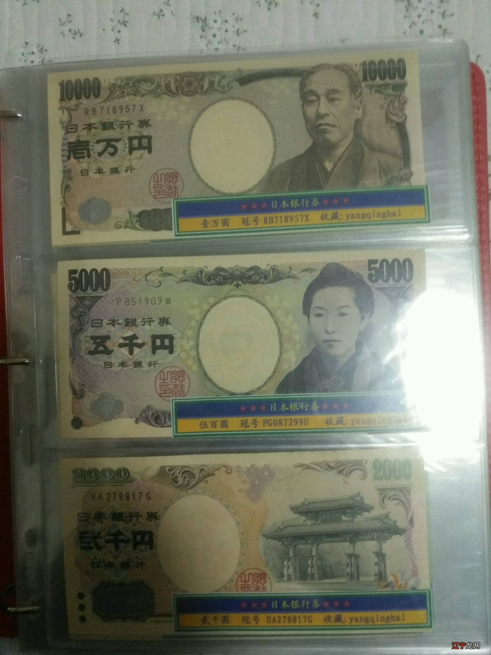 6iA悟真网_阴阳术数参禅悟道什么叫做从格?