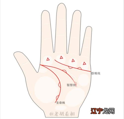 相面书籍入门 面相学学习书籍