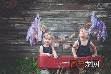 鼠年龙凤双胞胎取名