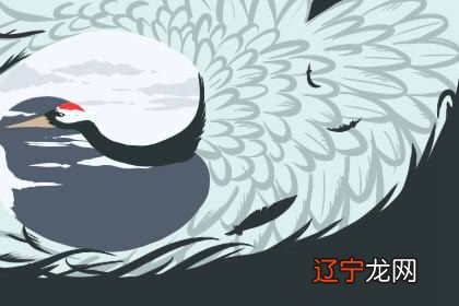 周易六爻铜钱占卜图解,怎样用硬币占卜周易六十四卦