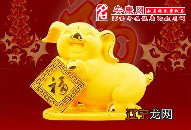 生肖猪在十二生肖中是福气满满的生肖,属猪的男人一生不愁吃穿