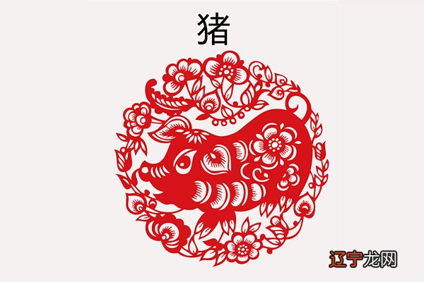 生肖猪在十二生肖中是福气满满的生肖,属猪的男人一生不愁吃穿