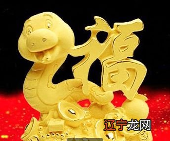 2020年元月6日蛇人财运2016属蛇人全年运势好吗