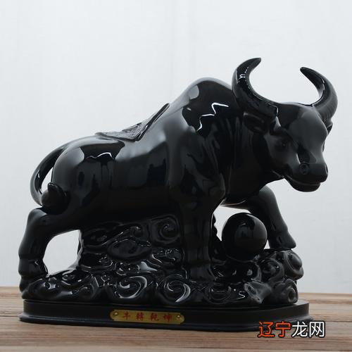 2020年元月6日蛇人财运2016属蛇人全年运势好吗