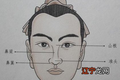 男人鼻子面相图解大全，男人十大好面相要看懂