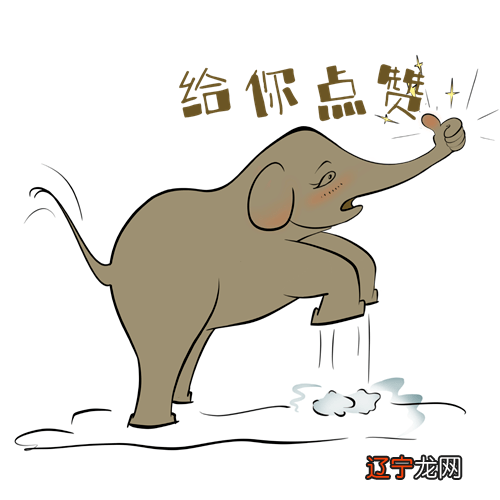 火象三傻的火象星座，性格情绪表现都太为突出