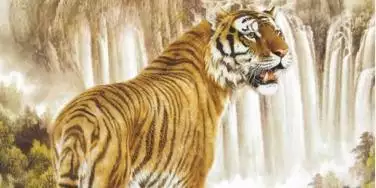 属虎旺财风水堂:属虎的微信名字大全集