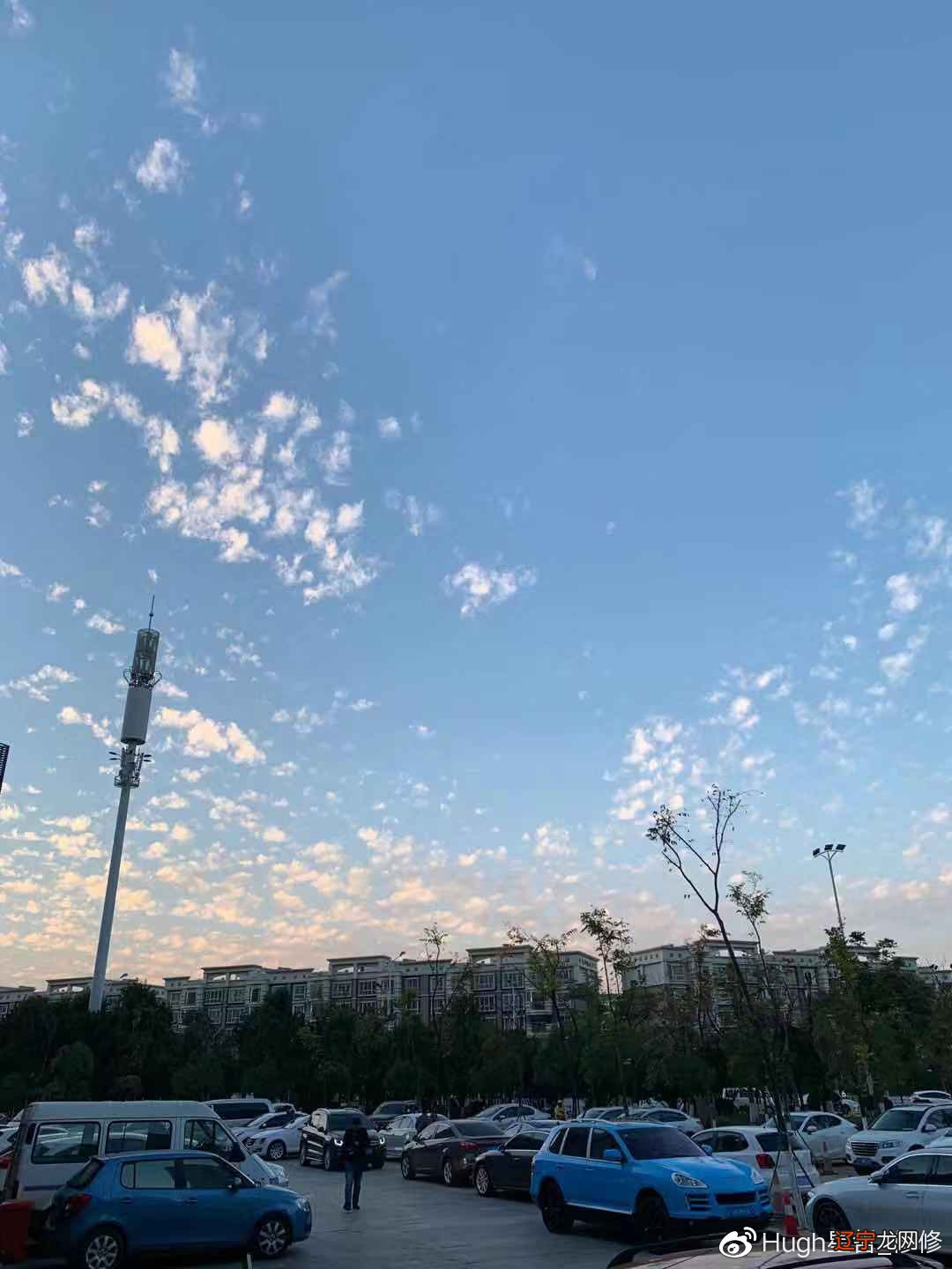 12.16-12.29 风象12星座运势星座思维活跃