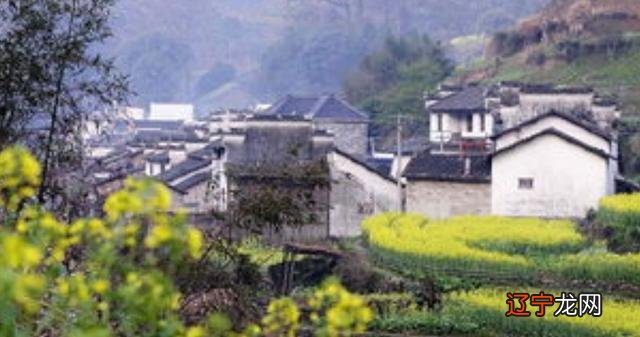 王老太一生没做过什么伤天害己的事情，对待儿子媳妇也是一视同仁