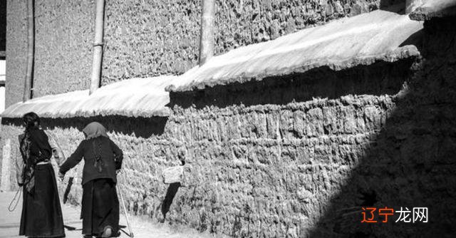 王老太一生没做过什么伤天害己的事情,对待儿子媳妇也是一视同仁