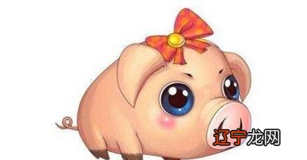 组图 美国神婆星座网生肖猪属猪人的性格分析