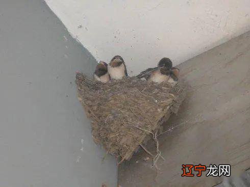 ?有没有的道理有哪些?有没有道理?道理