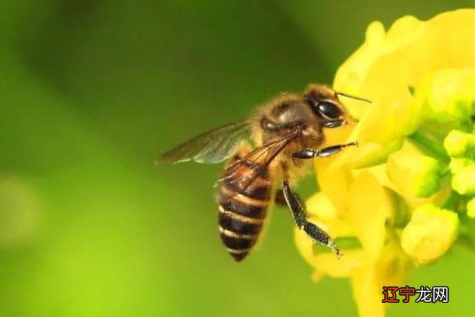 ?有没有的道理有哪些?有没有道理?道理