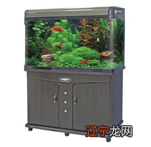 慈世堂:家里放鱼缸风水好之位置一般家庭住宅并非十全十美