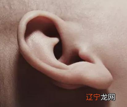 面相术可通过现察人的五官和部位,预示人的富贵贫贱