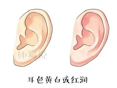 面相术可通过现察人的五官和部位,预示人的富贵贫贱