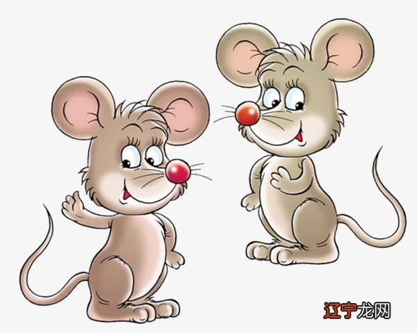 30~31岁这两年出生的生肖鼠会,未相克