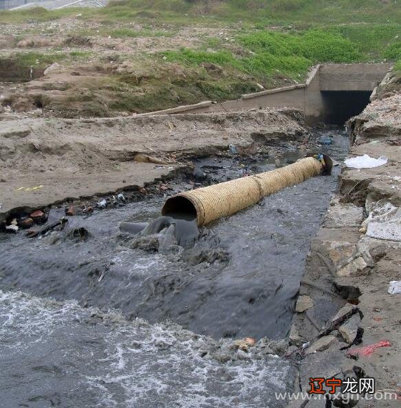 周公解梦：梦到自己掉粪坑里沾了一身的梦境