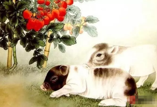 1995年属猪的和什么属相最配,你知道吗?