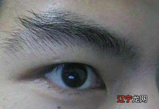 面相算命图解:额头平满的好男人额头代表一个男人