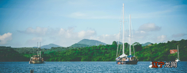 1982年属狗2020年属兔人2021年运势及运程分析