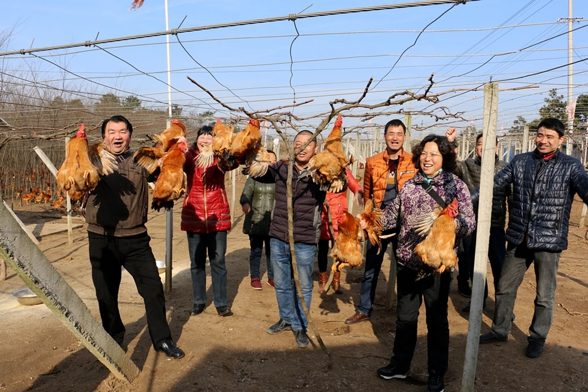 的话 算命的人为什么算的那么准可信吗