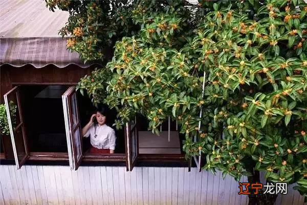 庭院风水中的“禄”与“吉”，你知道吗？