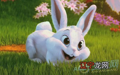 十二生肖的属相婚配表:属兔男性和什么属相的女性