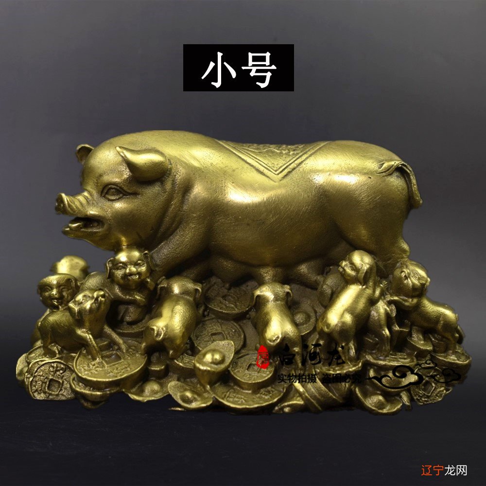 2010年十二生肖运势--猪2010——年年属猪人的流年运程