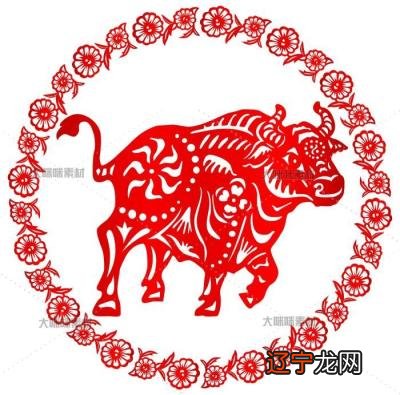 组图 2016年2022-05-12生肖总体运势详解