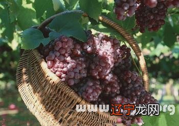 风水堂：梦见什么意思梦见被强奸